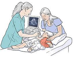 Pediatric Echocardiography Laboratory Organization and Clinical Productivity