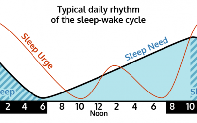 Sleep Parameters and Architecture in Children with Attention-Deficit/Hyperactivity Disorder: A Comparison with Typically Developing Peers and Across Subtypes