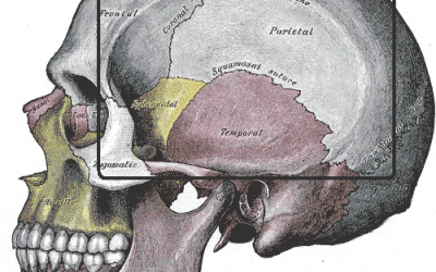 Surgical Approach to Access as Transciliar Resection for Anterior Cranial Fossa Meningiomas