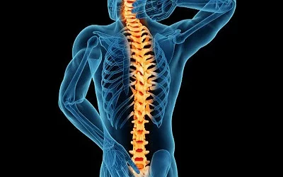Award Content for 6th World Congress on Spine and Spinal Disorders