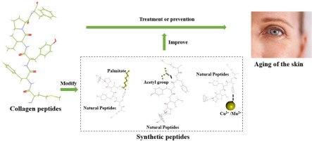 Efficacy of Collagen Peptide as Add on Nutritional Supplement in type 2 Diabetes