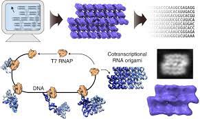 Preparation of Chemically Modified RNA Origami Nanostructures
