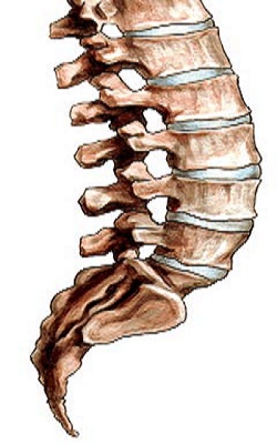 Transforaminal Endoscopic Decompression for Painful Degenerative Conditions of The Lumbar Spine: A review of One Surgeonâ€™s Experience with Over 10,000 Cases Since 1991