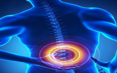 Introduction to the Spinal Trauma: Facts, Conditions and Future Perspective