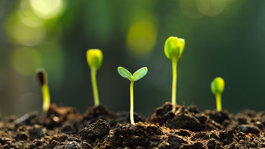 Young Research Forum- Young Scientist Awards Agriculture 2020