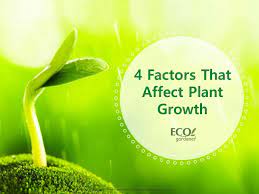 4 Plant Growth Factors That  Affect All Plants