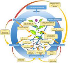 Anthropogenic Properties of Soil