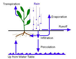 Definition and Purpose of  Percolation of Soil