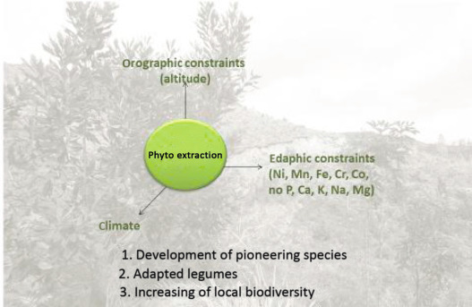 Soil Attributes to Characterize Explicit Mediations Creation