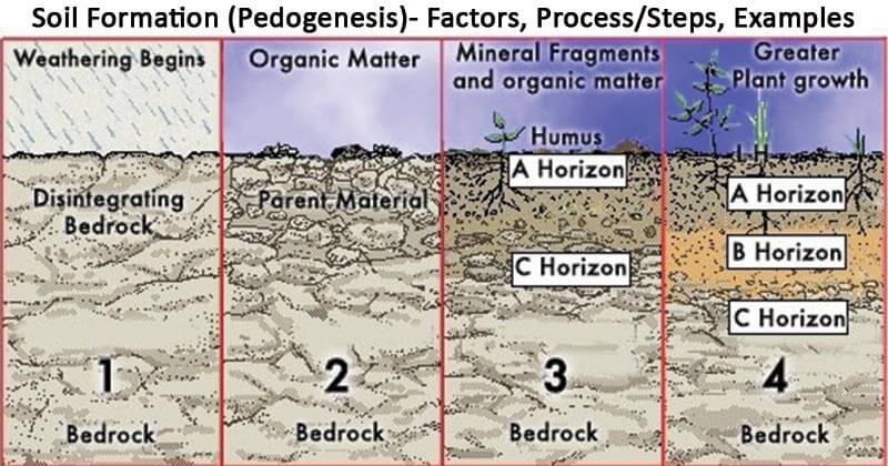 Components Influencing Soil Disintegration