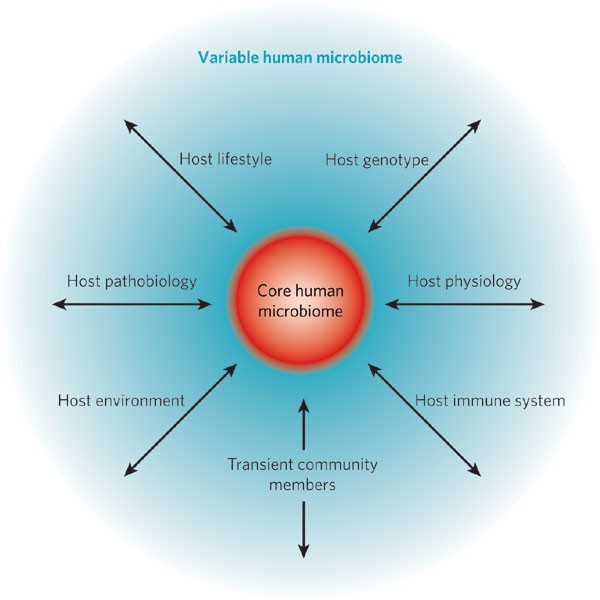 Genomic Ways that Concentrates on the Human Micro Biota