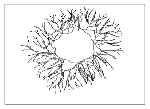 Organisms Spreading through Mycelium Strings