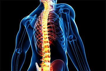 Stress Impact of Covid-19 in Patients with Spinal Cord Injury