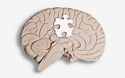 Effects of Minocycline on Changes in Brain Tryptophan Metabolism and the Behavior of Juvenile Mice Elicited By Inescapable-Predator Stress