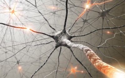 EMDR Therapy Mechanisms Explained by the Theory of Neural Cognition