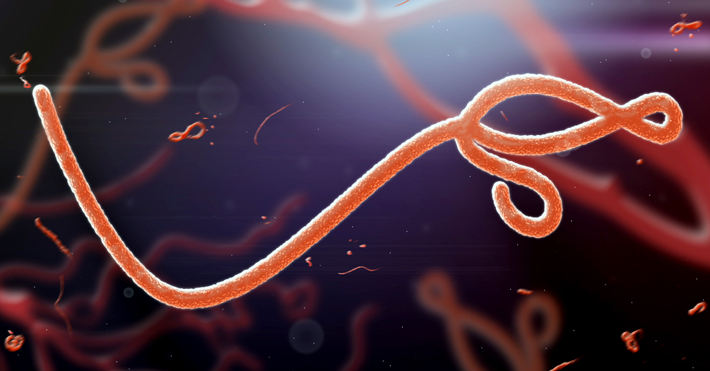 Review of Ebola Virus in  Africa