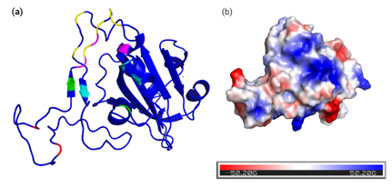 Virtual Screening Reveals Potential Anti-Parasitic Drugs Inhibiting the Receptor Binding Domain of SARS-CoV-2 Spike protein