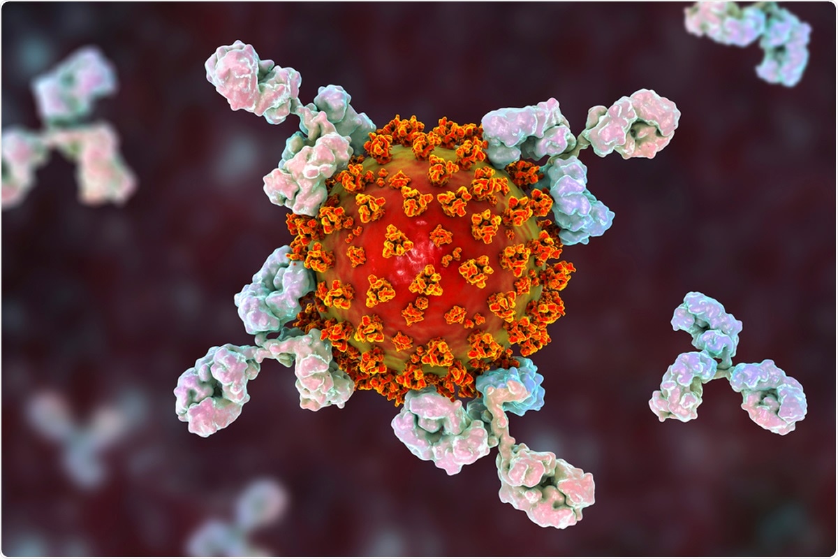 Seroprevalence of SARS-CoV-2 IgG Antibodies among PostInfection COVID-19 Patients and Post Vaccination at a Tertiary Care Hospital