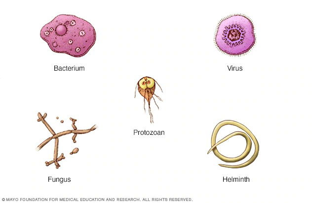 Infective Agent Medical Specialty and Infective Agent Infections