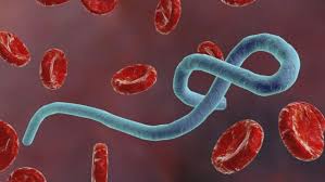 Ebola Virus Disease