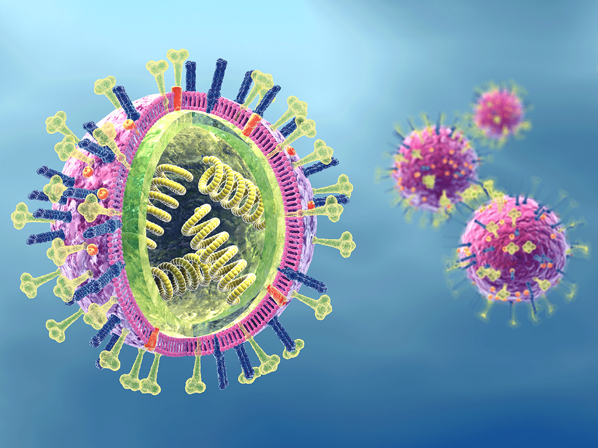 A Brief Note on Viral Genetics