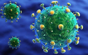 Enhanced Fitness of Non-Pathogenic SHIV-NM-3rN
Over Acute Pathogenic 89.6P in a Dual Infection/Compitition Assay on HSC-F Monkey Derived Cell Line