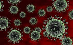 Alternative Roles of Neuraminidase in Influenza a
Viral Propagation