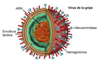 Herpes Simplex Virus Type-2 Infection and Associated Risk Factors among Weaver's Community in Tamil Nadu State, India