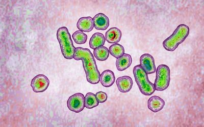 Occult Hepatitis B among Patients under Hemodialysis at Mansoura University Hospitals: Prevalence and Risk Factors