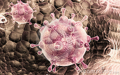 Comparison of Real-Time RTPCR
Assay with Direct Sequencing for Detection of Sensitivity or Resistant to Oseltamivir in Influenza A/H3N2 Viruses