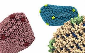 Occurrence of Escape Favoring Mutations in The Targets of 2F5 and 4E10 Antibodies of HIVgp41 : A Metadata Analysis