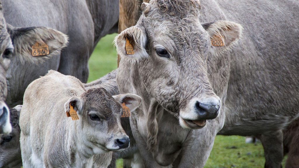 The Mechanized and Chemical Methods Used Are Causing Biodiversity to Decline