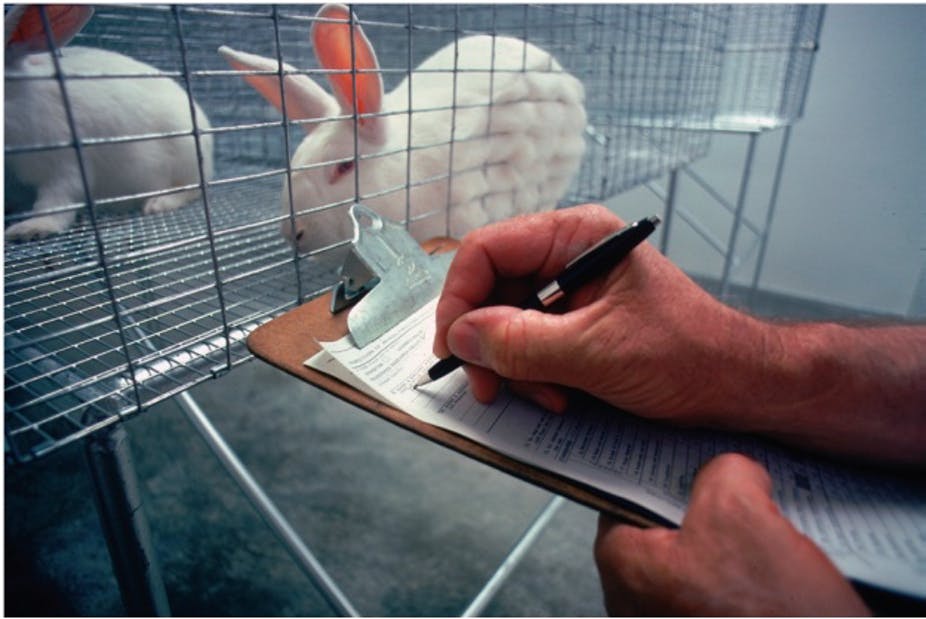 The History of the Regulation of Animal Research