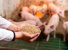 Animal Nutrition Encompasses the Complete Gamut of Animal Biological Process