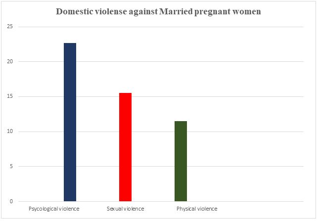 Domestic Violence against Pregnant Women in Ofla District, Tigray, Ethiopia