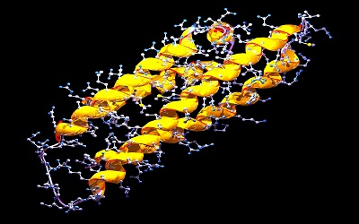 Pharmacogenetics of Apolipoprotein E on Donepezil and Fluoxetine Pharmacotherapy for Chemotherapeutic Induced Neurocognitive Decline