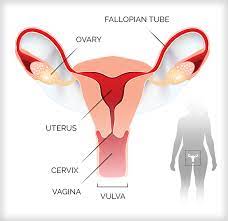 Ways to Improve Radiation Induced Sexual Toxicity in Gynecologic Cancer