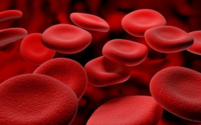 Anemia: A Brief Overview Regards the Pregnant State