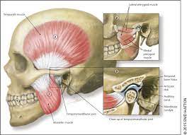 Surgical Treatment of Temporomandibular Joint Diseases Requires Set of Diagnostic Criteria