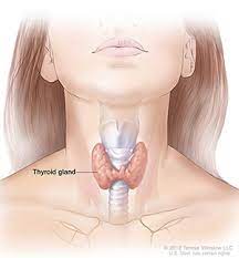 Thyroid Infection the Second Most Commonly Perceived Endocrinopathy