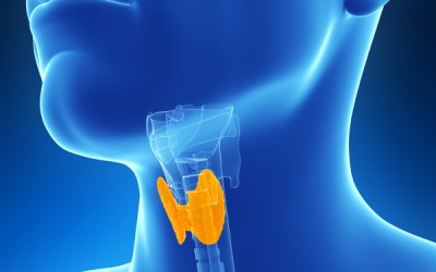 Prevalence of Thyroid Dysfunction in Turkish Patients with Metabolic Syndrome: A Cross-Sectional Study