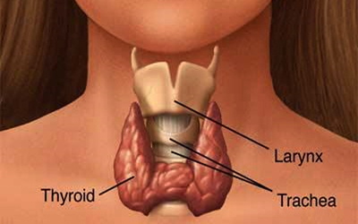 Congenital Hypothyroidism Diagnosed At 9 Years Old