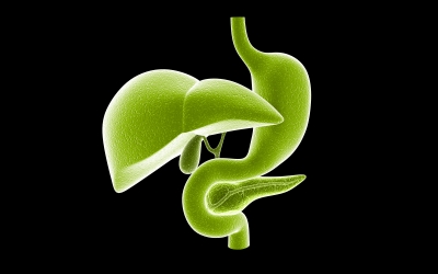 A Patient with Multiple Endocrine
Neoplasia Type 2B who Survived
6 Years Longer than Medically
Expected by the Treatment with
Citric Acid that He Received