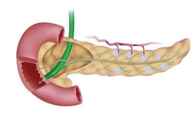 Immunology in Defiance: A
Clinicianâ€™s Perspective on Modern
Organ Transplantation