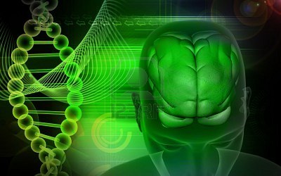 Improve in Neurogenesis
with Socialization can Reduce
Behaviors that are Related to
Poor Prognosis in Withdrawal
Period in Male Rats