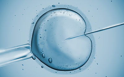 Strongly Recommend Evaluation
of Clinical Outcomes of IVF/ICSI
with Cumulative Pregnancy Rate