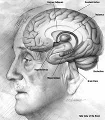 Specificity of Psychosomatization of Psychologist-leaders with Professional Deformations (Burnout)