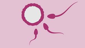 Prevalence of Celiac in Fertile Women Due to Unexplained Infertility