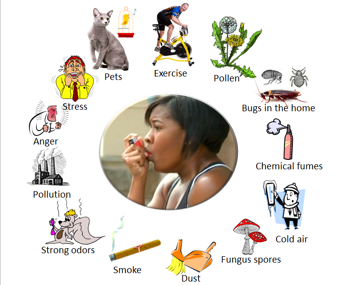 Asthma Triggers and Control among Adults in an Egyptian Setting