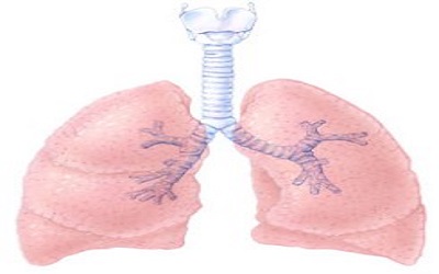 Lung Compliance and Resistance Following Bronchial Thermoplasty in Severe Persistent Asthma: A Pilot Study and Discussion of the Physiology